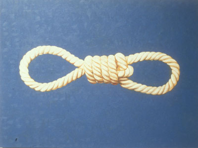 Noose/Fist (Métis Flag)